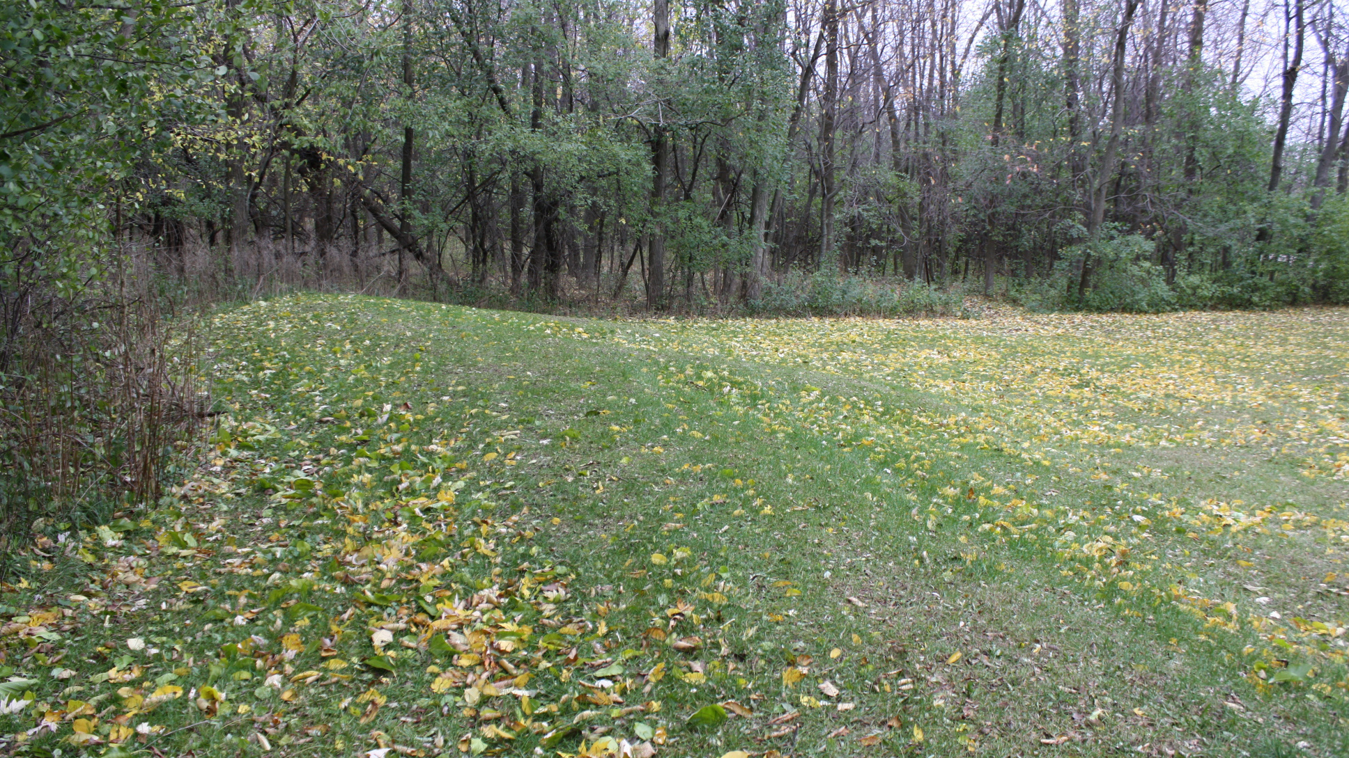 are dogs allowed in calumet county park