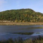 water in foreground with hill with trees in background
