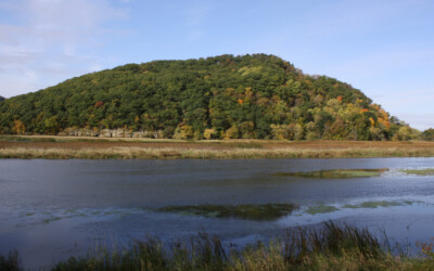 water in foreground with hill with trees in background