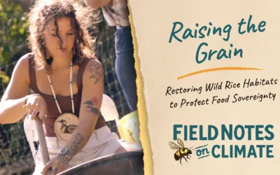 Person stirring pot outdoors; text reads “Raising the Grain” and “Field Notes on Climate” about wild rice habitats.