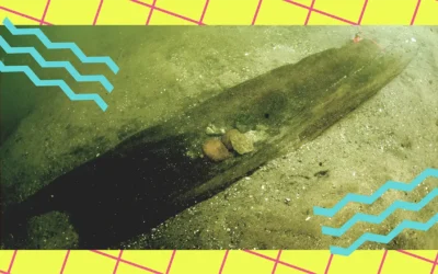 Underwater dugout canoe on lakebed with teal wave graphics and neon grid background.