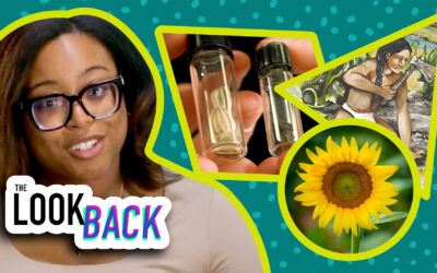 Host beside an image of a sunflower, an illustration of a Native American farmer, and to vials in a lab